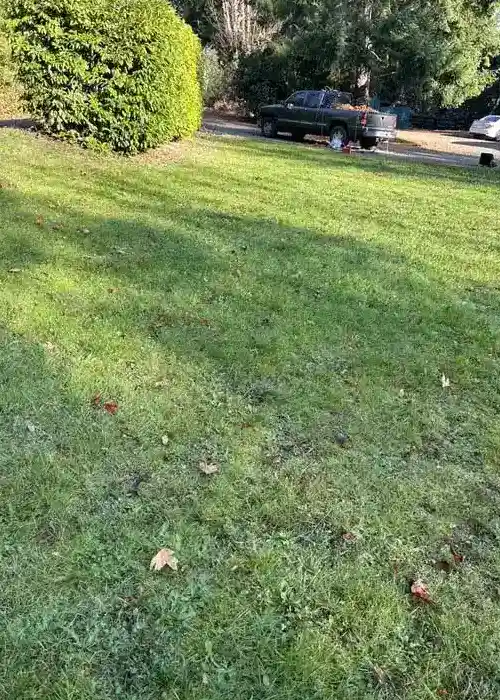 Landscaping