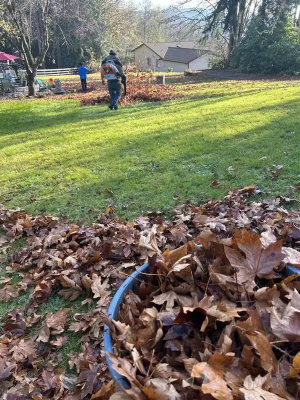 Landscaping