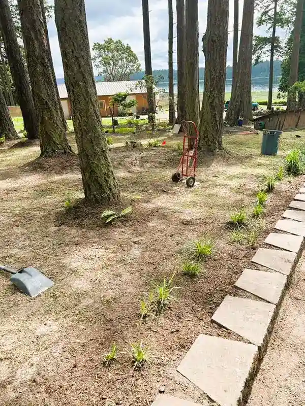 Reliable Tree Services Tree Services