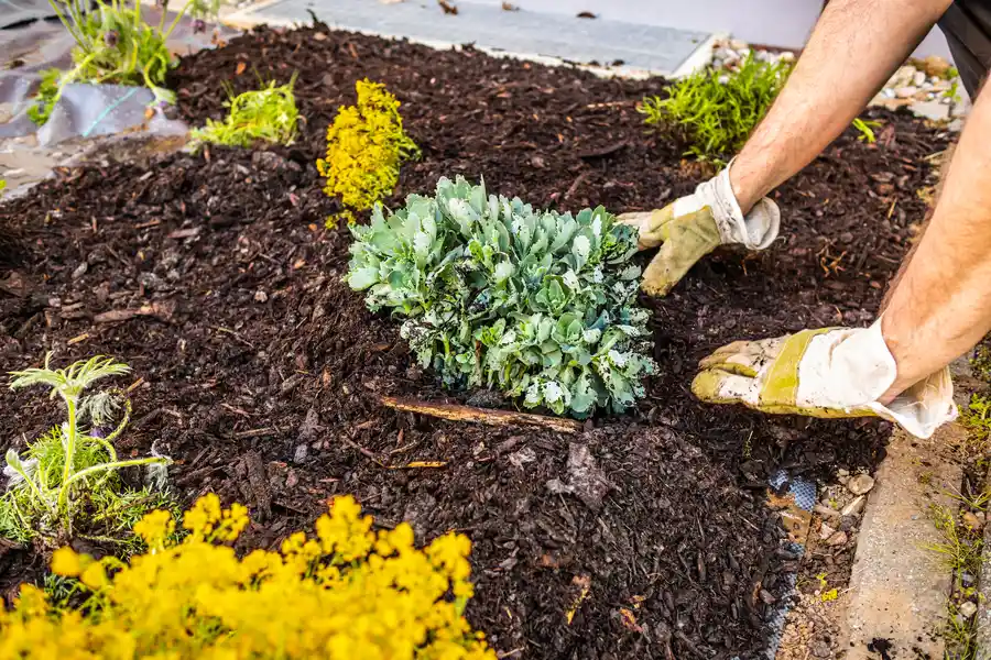 Professional Mulching Bremerton WA