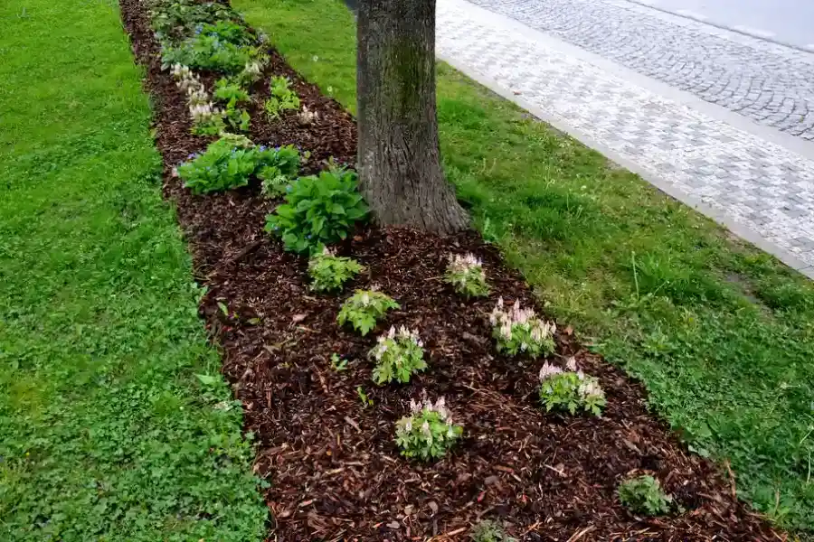 Quality Mulching Bremerton WA