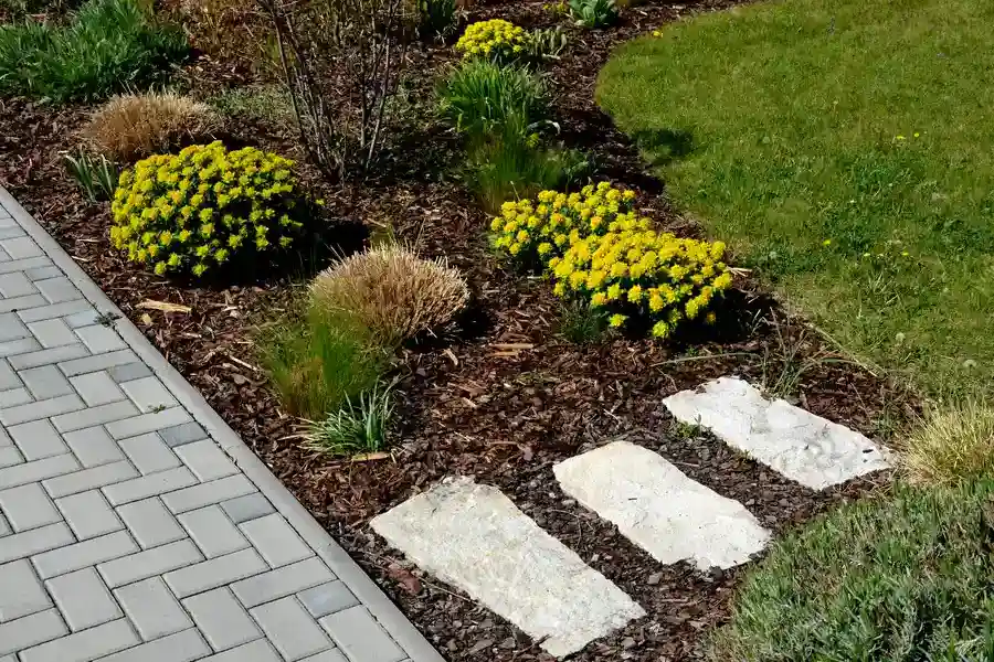 Understanding The Different Types Of Mulch And Their Uses Bremerton WA